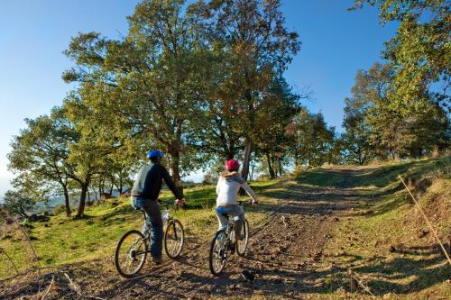 a man and a woman riding bikes down a dirt road at Bosco Ciancio in Biancavilla