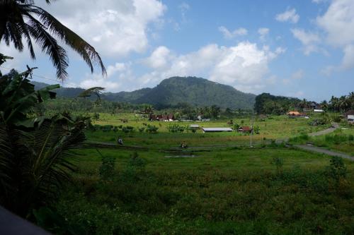 a green field with a mountain in the background at Medukuh Point Hill in Karangasem