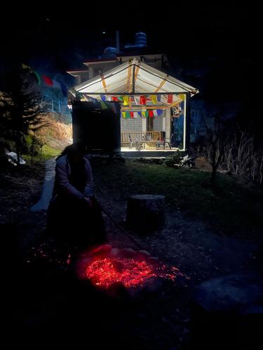 a woman sitting on the ground in front of a house at Apple Blush Retreat - Tirthan Valley in Gushaini