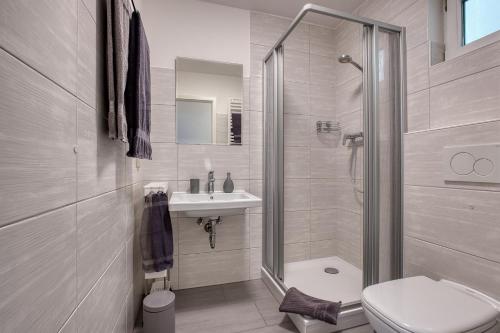 a bathroom with a shower and a toilet and a sink at Altstadt Domizil in Pirna