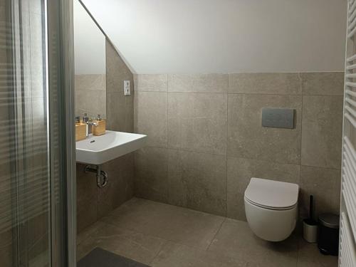 a bathroom with a toilet and a sink at Wellness Chalupy LETOKRUHY in Jeseník