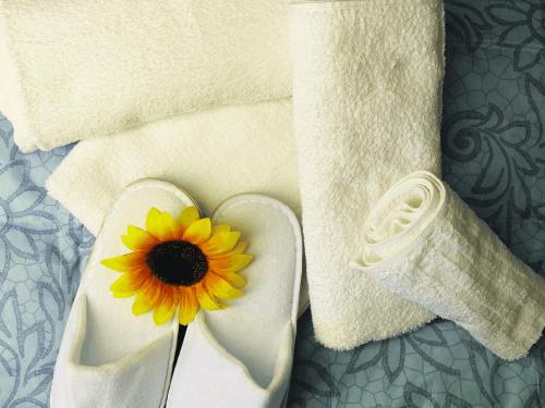 Fotografie z fotogalerie ubytování B&B Alborada v destinaci Colonnella