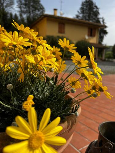 Taman di luar Agriturismo LA CERBANA