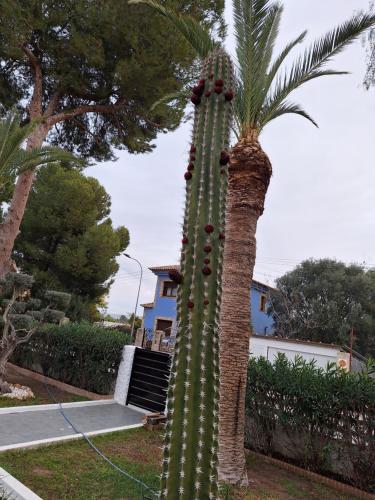 Κήπος έξω από το Chalet Kathia Minigolf, Ping-pong y más