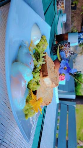 Toit külalistemaja aladel või selle läheduses