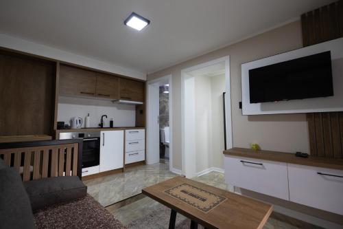 a living room with a couch and a kitchen with a tv at Vila Sofija Banja Vrujci in Gornja Toplica