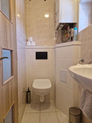 コヴァチョヴァにあるApartman Kováčováのトイレと洗面台のある小さなバスルーム