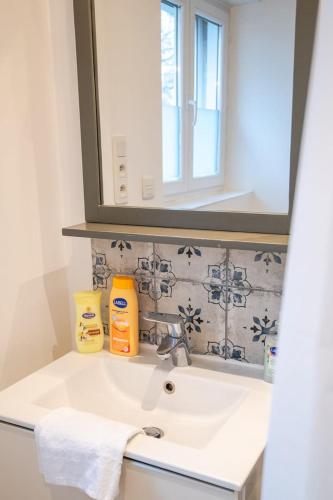 La salle de bains est pourvue d'un lavabo et d'un miroir. dans l'établissement Le Pic-Paris, à Tours