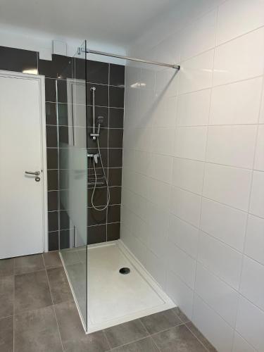 une salle de bain avec une douche avec une porte vitrée dans l'établissement Appartement spacieux dans le centre de Sarlat, à Sarlat-la-Canéda