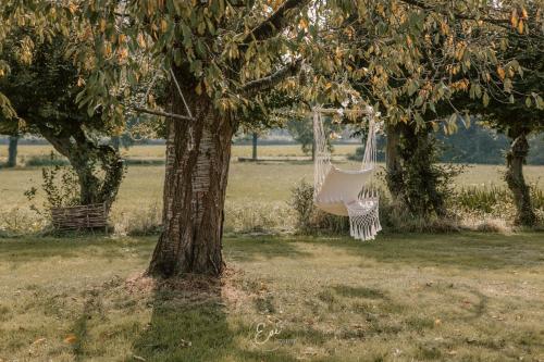 a hammock hanging from a tree in a field at B&B Hullebrug in Heist-op-den-Berg