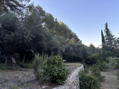 un jardin avec un mur en pierre et des arbres dans l'établissement Le Cabanon d'Elie, à Allauch