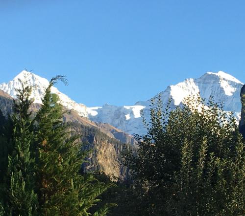 a view of snow covered mountains with trees in the foreground at B3 Boutique-Bed&Breakfast in Gsteigwiler