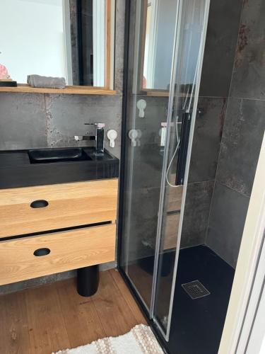 une salle de bain avec douche et lavabo dans l'établissement Petit appartement mitoyen, à Royan