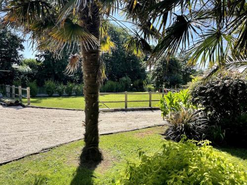 a palm tree in the middle of a park at Pont-Aven Breton house in Pont-Aven