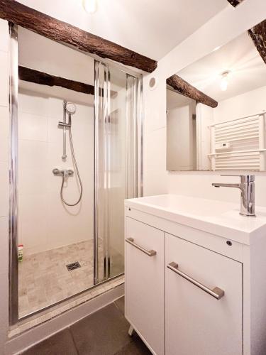 une salle de bain avec douche et lavabo dans l'établissement Saint Anne - coeur de ville, à Montpellier