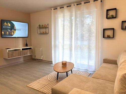 un salon avec un canapé et une télévision dans l'établissement LE DONZELOT, à Rennes