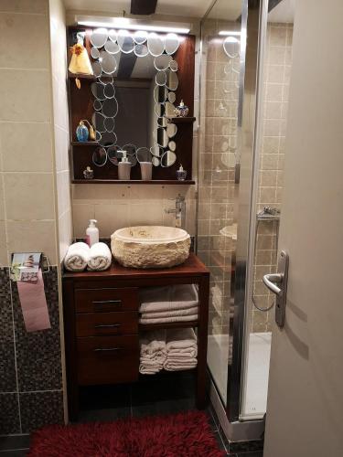 une salle de bain avec un lavabo et une douche dans l'établissement Appartement en bord de mer plages & commerces à pied KPCBLA, à Grosseto-Prugna