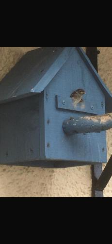 Gambar di galeri bagi Owls Nest di Edinbain