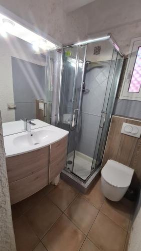 une salle de bain avec une douche, un lavabo et des toilettes dans l'établissement studio mezzanine climatisé 40 M2 bord de mer, à Lecci