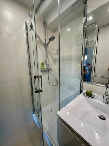 une salle de bain avec douche et lavabo dans l'établissement Mobility lease- Sunny studio with large balcony, park view at Paris 15, à Paris