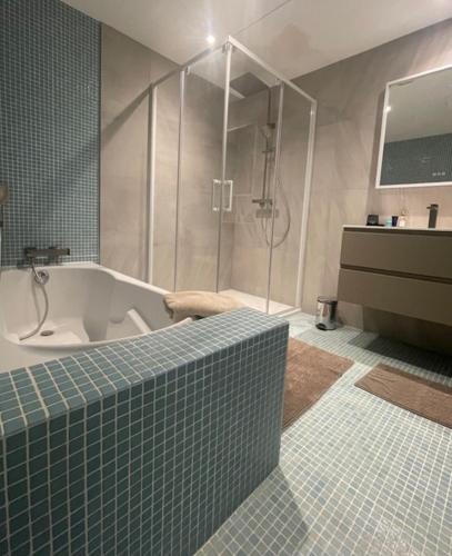 une salle de bain avec baignoire et douche dans l'établissement La Beaume, à Blauvac