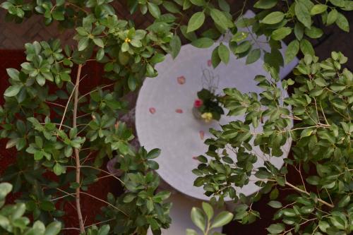 a white plate with a bird sitting on top at Riad Hôtel Belleville Marrakech in Marrakech