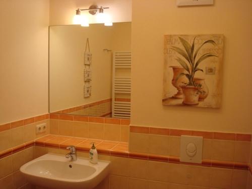ein Bad mit einem Waschbecken und einem Spiegel in der Unterkunft Residenz Leuchtturm L15 in Rerik