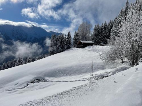 a snow covered hill with a cabin on top of it at Le petit érable - Vue Mont Blanc in Villard-sur-Doron