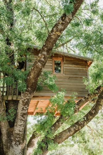 Cabane Perchée avec Jacuzzi, au Coeur du Luberon