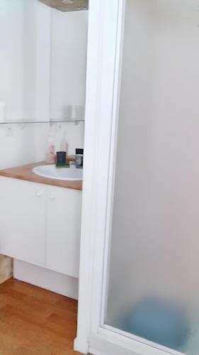 une salle de bain avec un lavabo et un miroir dans l'établissement Appartement charmant à Carentan les Marais, 40 m² avec terrasse, à Carentan