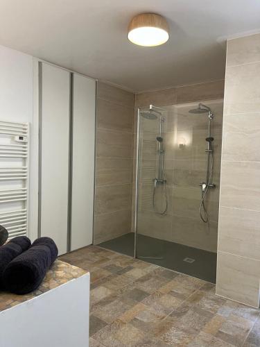 une salle de bain avec une douche avec une porte vitrée dans l'établissement Villa Margaux Prestige, à Sète
