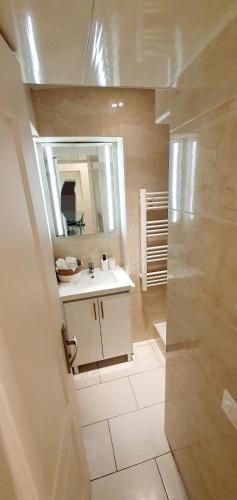 une salle de bain avec un lavabo et un miroir dans l'établissement Appartement 3 pièces sur Nice Centre, à Nice