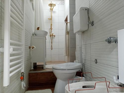 プリイェドルにあるSava Lux & Roomのトイレと洗面台を備えた白いバスルーム