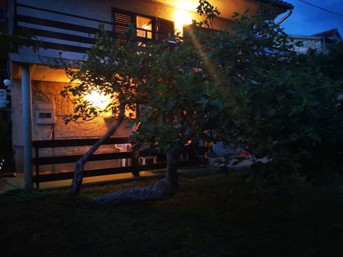 a tree in front of a house at night at Apartment Maria in Pirovac