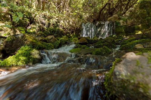 una cascada en un bosque con rocas y árboles cubiertos de musgo en Villa Magic Stone, en Šišići
