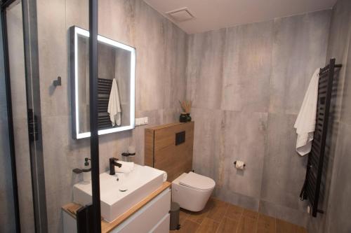 a bathroom with a sink and a toilet and a mirror at Wellness Hotel Zavadilka in Prostřední Bečva