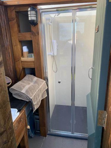 a shower with a glass door in a bathroom at Alpaca Cwtch - Pembrokeshire, West Wales in Fishguard