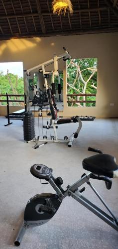 Fitness centrum a/nebo fitness zařízení v ubytování Promised Land Lodge