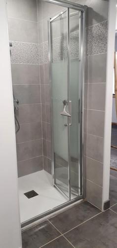 une douche avec une porte vitrée dans une salle de bain dans l'établissement La Renardière, à Salies-de-Béarn