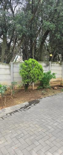 a white fence with trees in front of a yard at Nature's Retreat in Willowdene