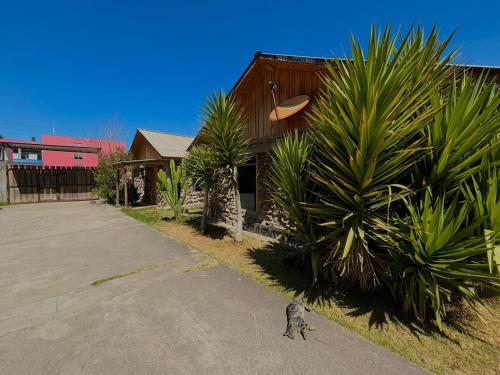 a cat is standing in front of a house at Hotel El Rancho in Concepción