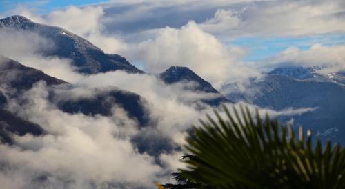 Un paisaje natural cerca del departamento