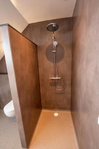 a bathroom with a shower with a toilet at Appartementen De Witte Brugh in Buren