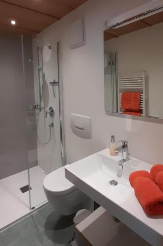 a bathroom with a toilet and a sink and a shower at Gästehaus Auer in Holzgau