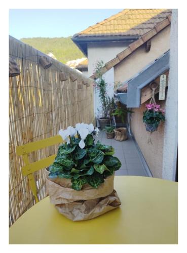 une plante en pot assise sur une table sur un balcon dans l'établissement idéal studio, à Gap