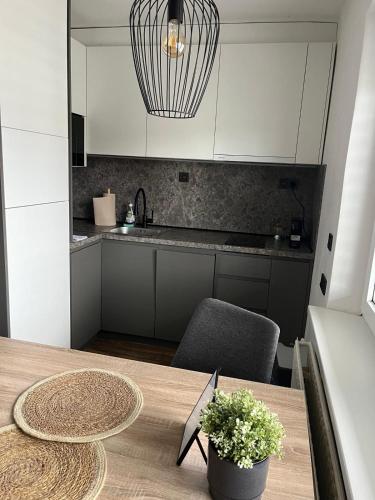 a kitchen with a wooden table with a potted plant at IQ Apartments in Prešov