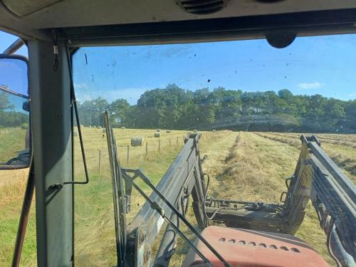 a view of a field from the inside of a tractor at grande maison à la ferme in Neuville-lès-Decize