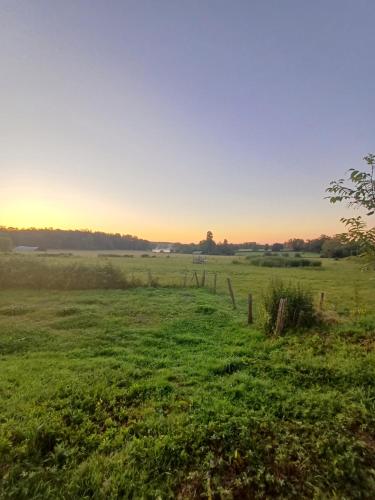 a field of green grass with a fence in the foreground at grande maison à la ferme in Neuville-lès-Decize