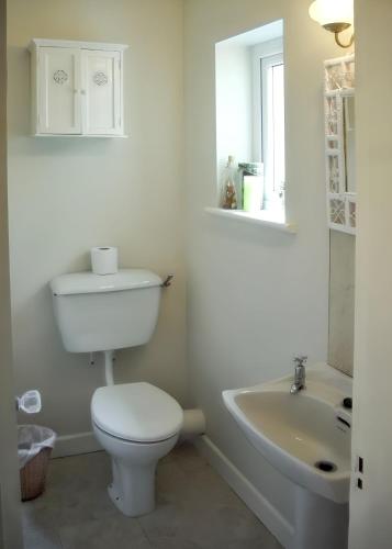 a white bathroom with a toilet and a sink at Spacious house with sea and mountain views, Co. Kerry in Kells