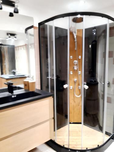 une salle de bain avec douche et lavabo dans l'établissement Maison charmante à Carlux + piscine, à Carlux